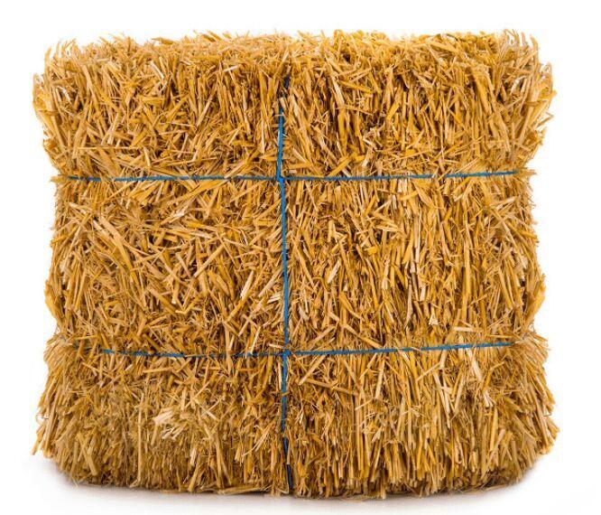 Rice Straw
